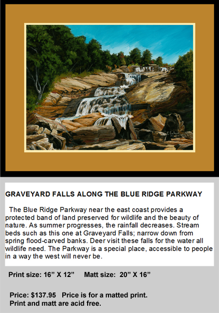 Graveyard Falls